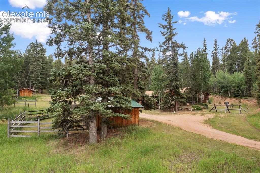 135 Daniwood Grove Florissant CO 80816