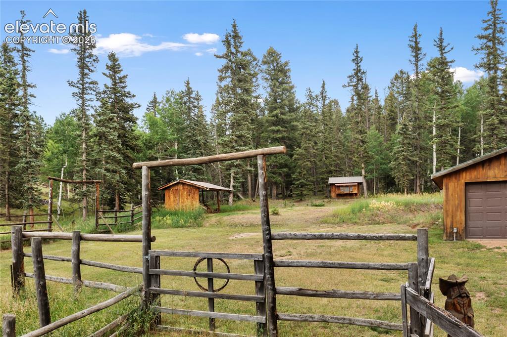 135 Daniwood Grove Florissant CO 80816