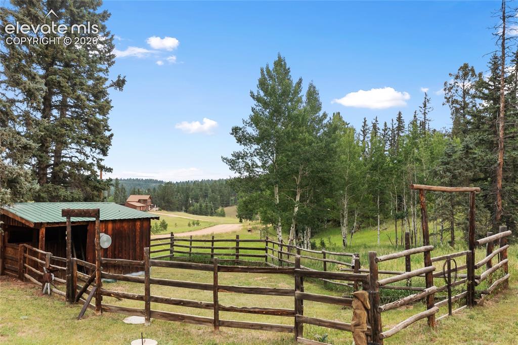 135 Daniwood Grove Florissant CO 80816