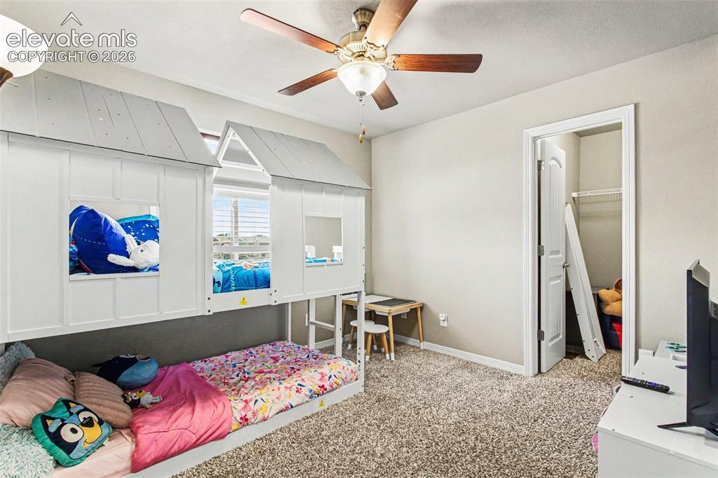 10056 Castor Drive Colorado Springs CO 80925