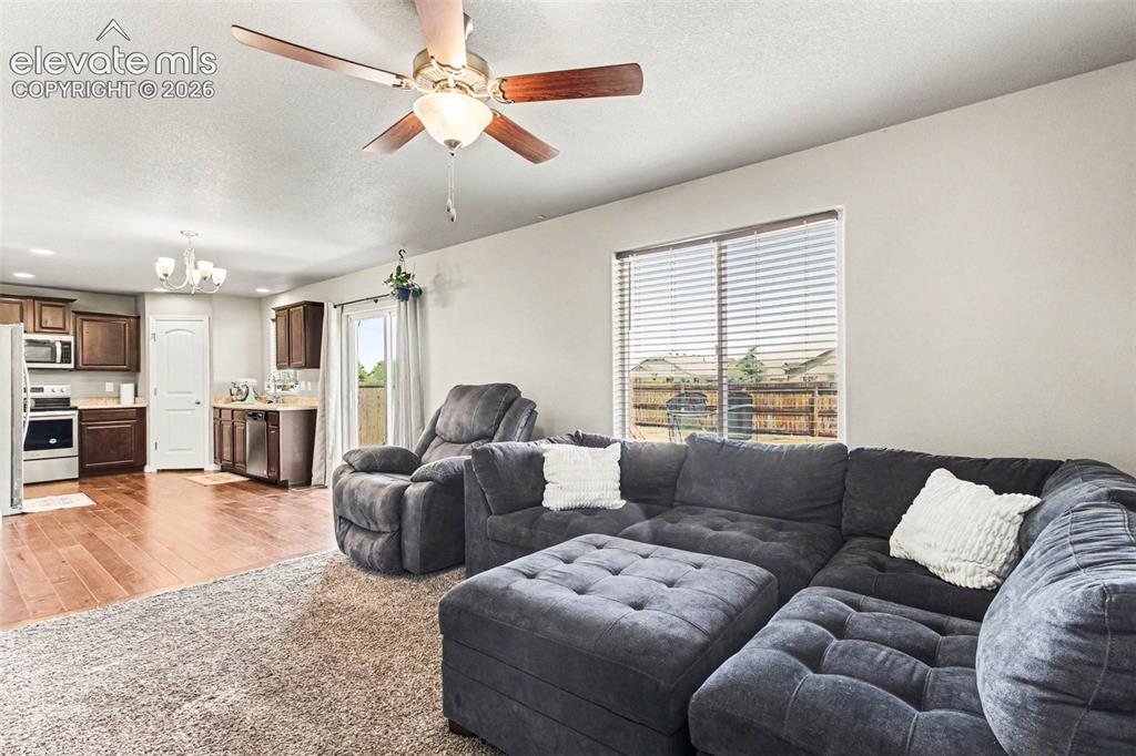 10056 Castor Drive Colorado Springs CO 80925