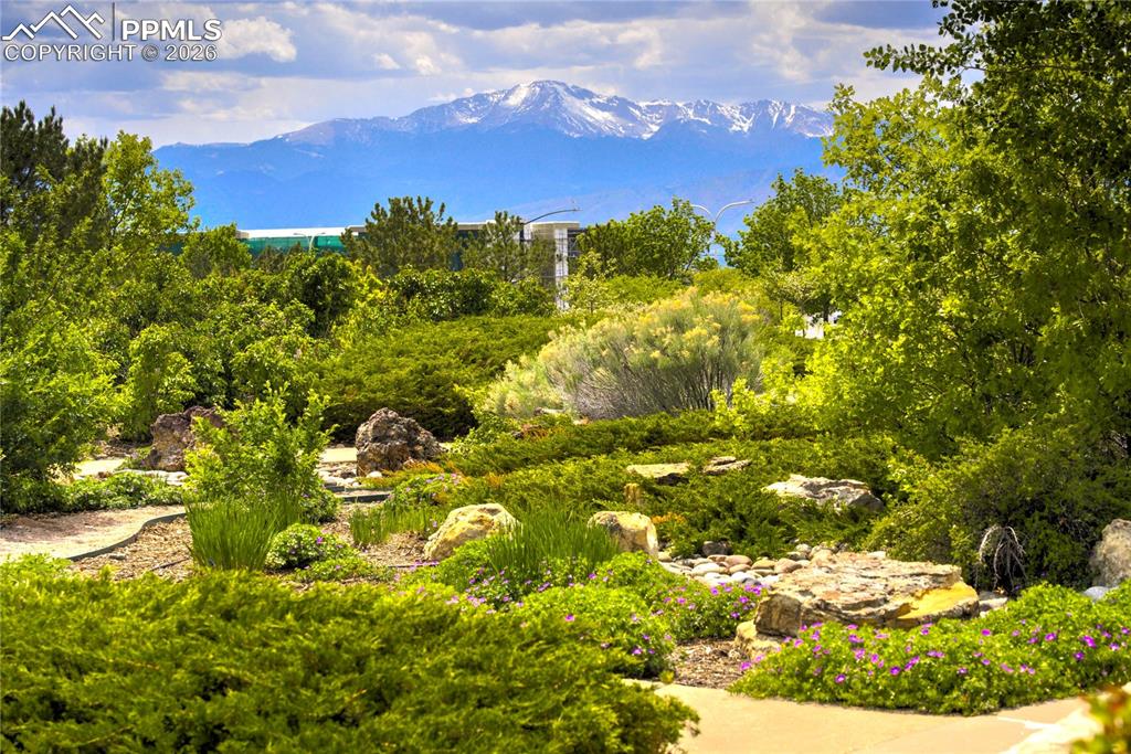 4970 Rabbit Mountain Court Colorado Springs CO 80924