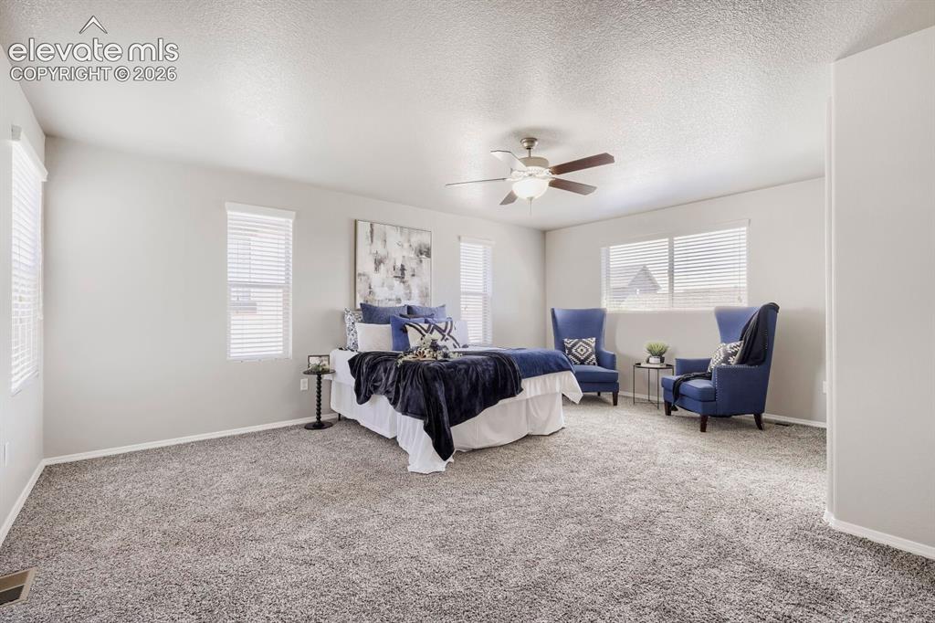 6684 Lucky Star Lane Colorado Springs CO 80923