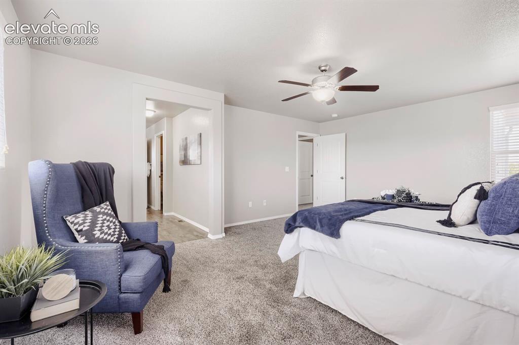 6684 Lucky Star Lane Colorado Springs CO 80923