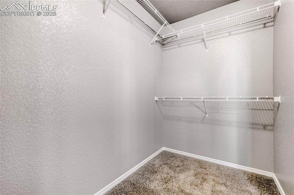6684 Lucky Star Lane Colorado Springs CO 80923