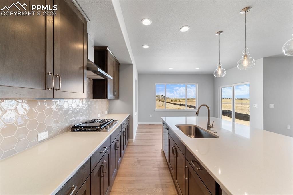 16223 Basset Mill Way Monument CO 80132