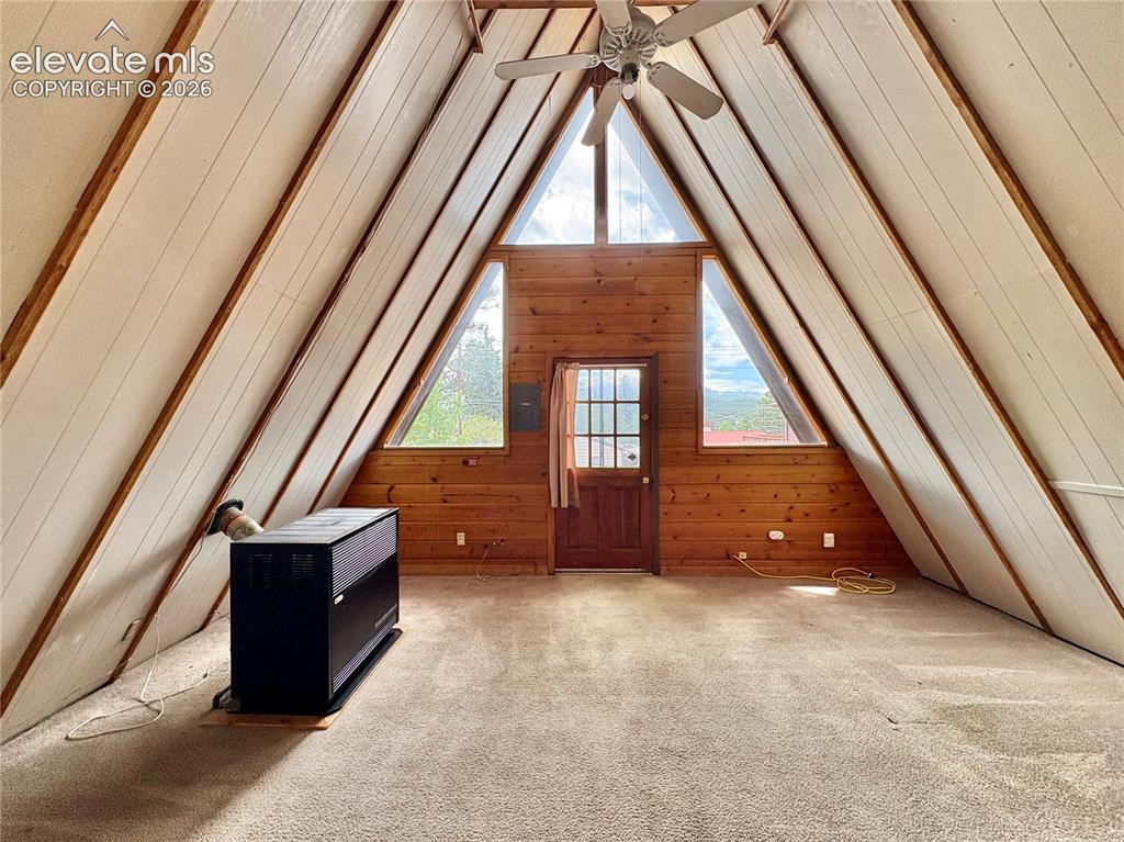 207 E Lake Avenue Woodland Park CO 80863
