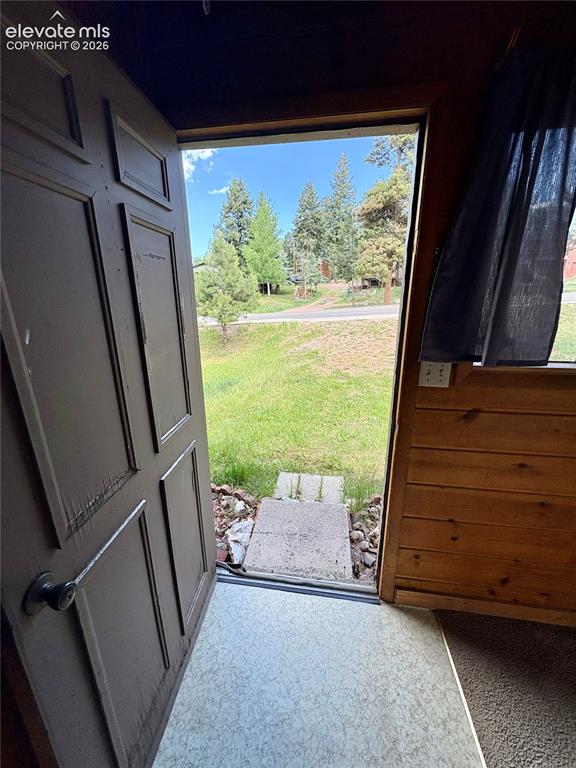 207 E Lake Avenue Woodland Park CO 80863
