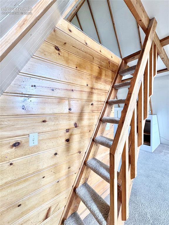 207 E Lake Avenue Woodland Park CO 80863