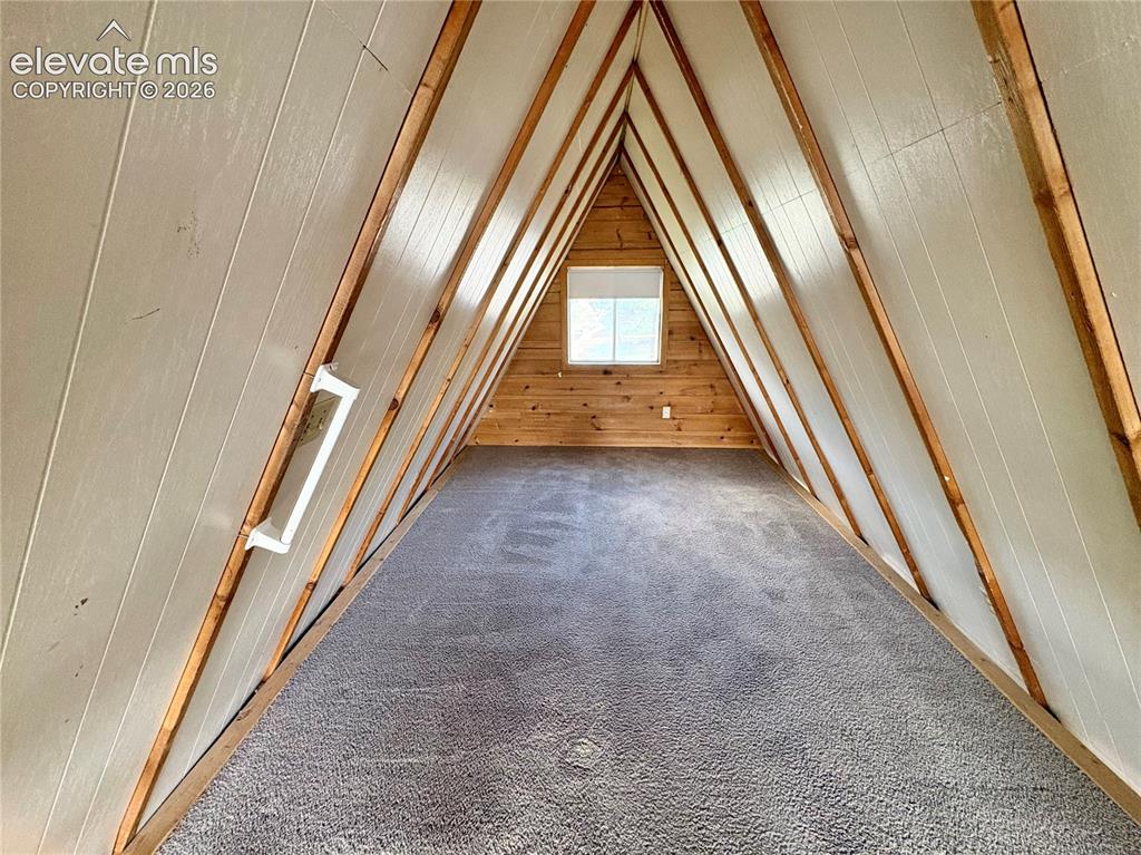 207 E Lake Avenue Woodland Park CO 80863