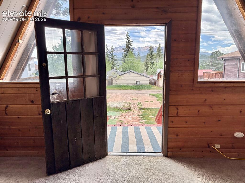 207 E Lake Avenue Woodland Park CO 80863