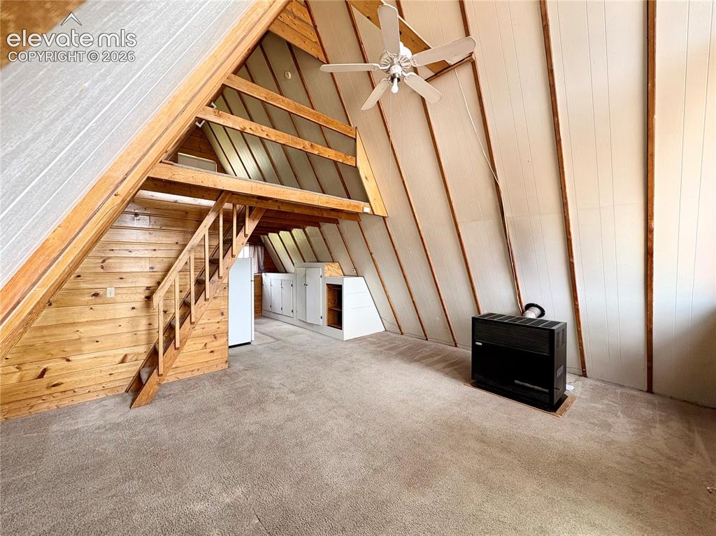 207 E Lake Avenue Woodland Park CO 80863