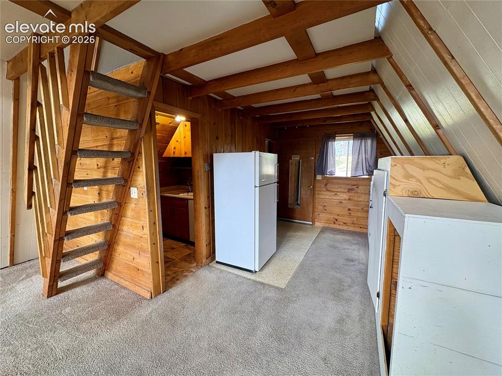 207 E Lake Avenue Woodland Park CO 80863