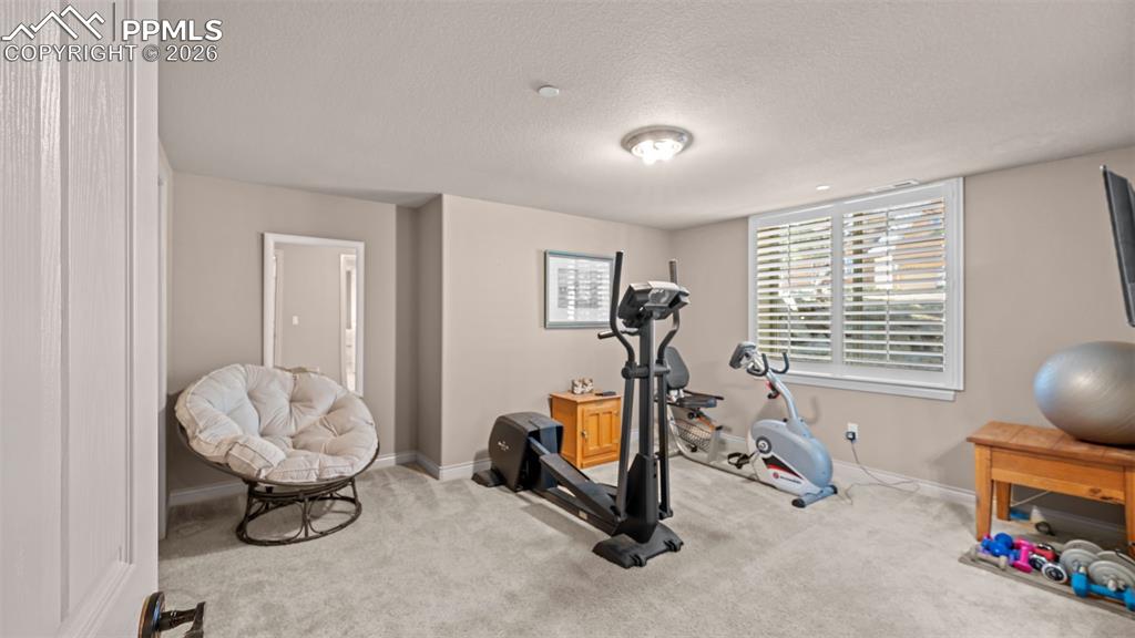 590 Paisley Drive Colorado Springs CO 80906