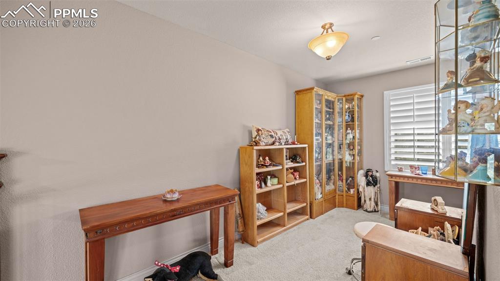 590 Paisley Drive Colorado Springs CO 80906