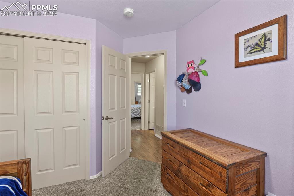 7394 Owings Point Peyton CO 80831