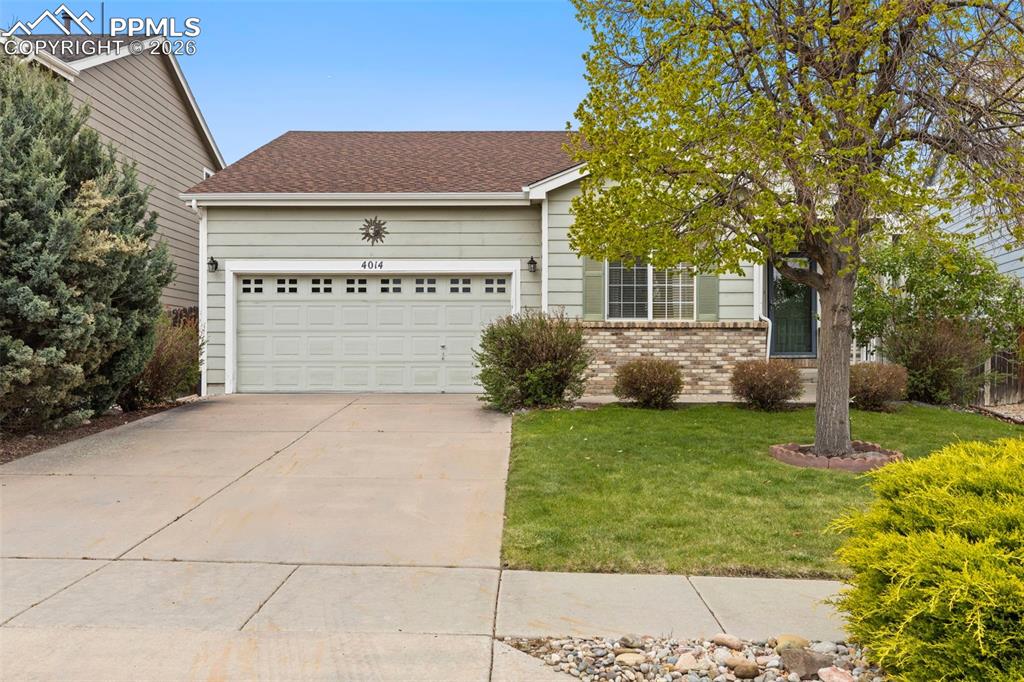 4014 Pioneer Creek Drive Colorado Springs CO 80922