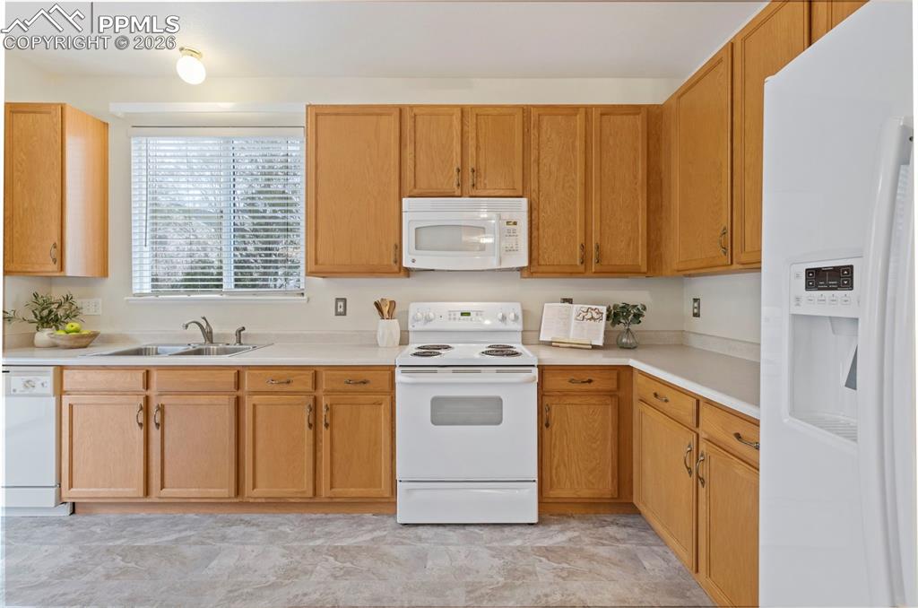 4014 Pioneer Creek Drive Colorado Springs CO 80922