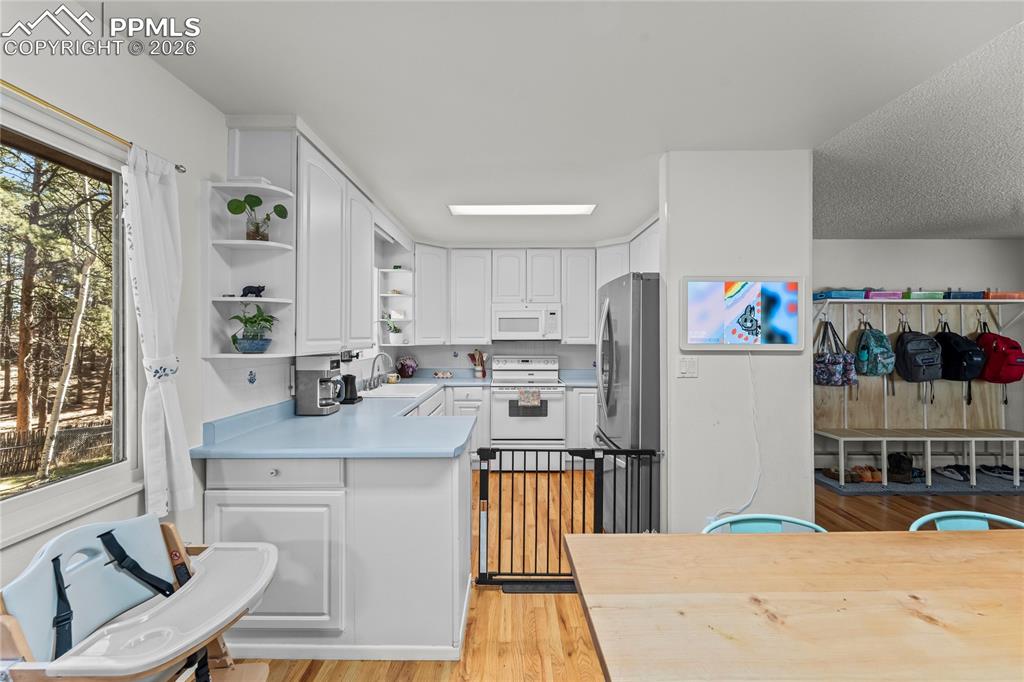 1210 W Lorraine Avenue Woodland Park CO 80863