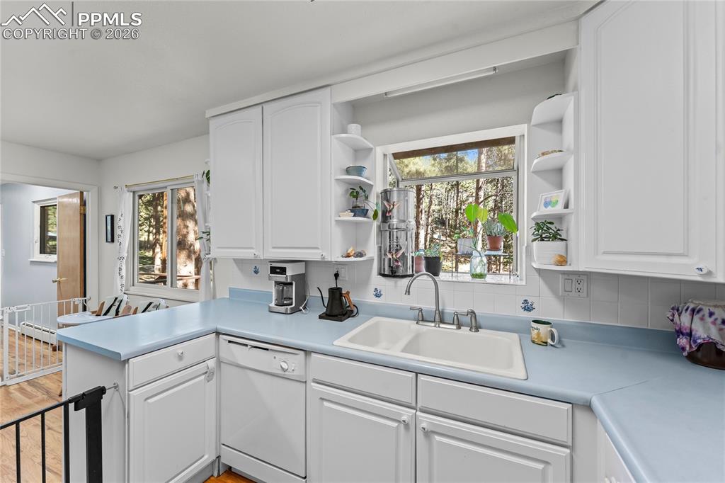 1210 W Lorraine Avenue Woodland Park CO 80863