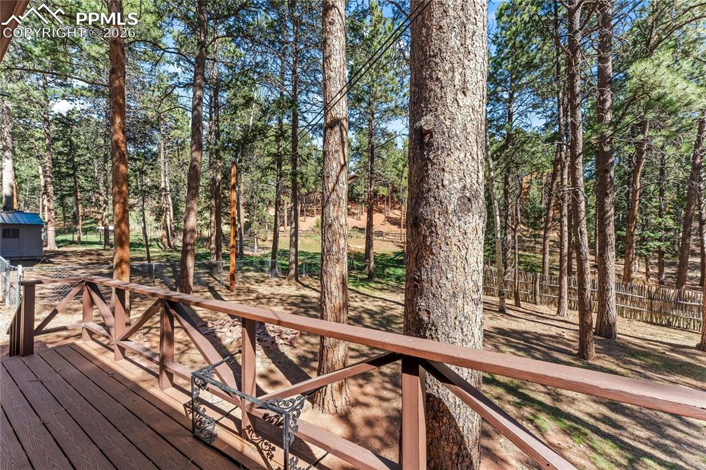 1210 W Lorraine Avenue Woodland Park CO 80863