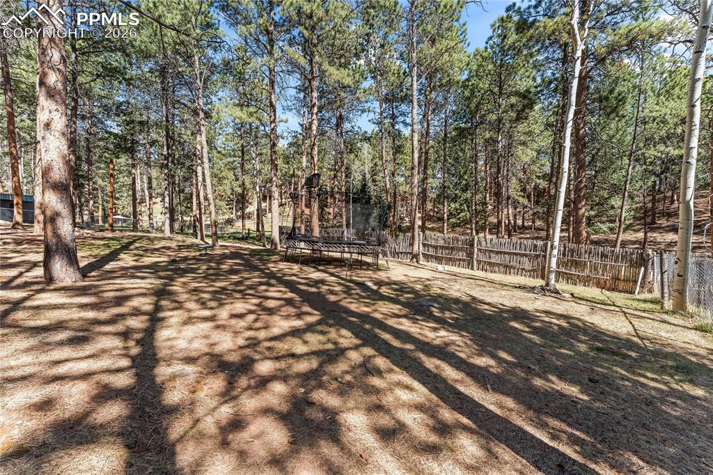 1210 W Lorraine Avenue Woodland Park CO 80863