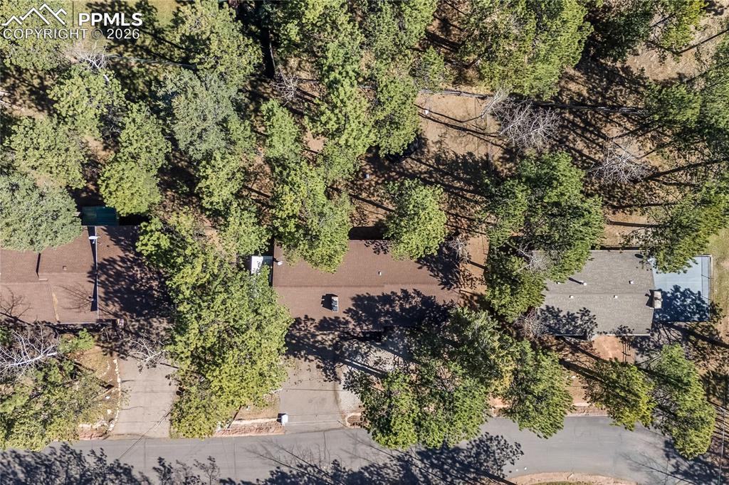 1210 W Lorraine Avenue Woodland Park CO 80863