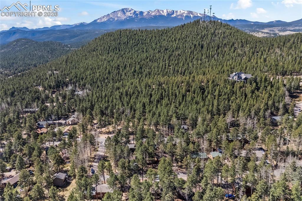 1210 W Lorraine Avenue Woodland Park CO 80863