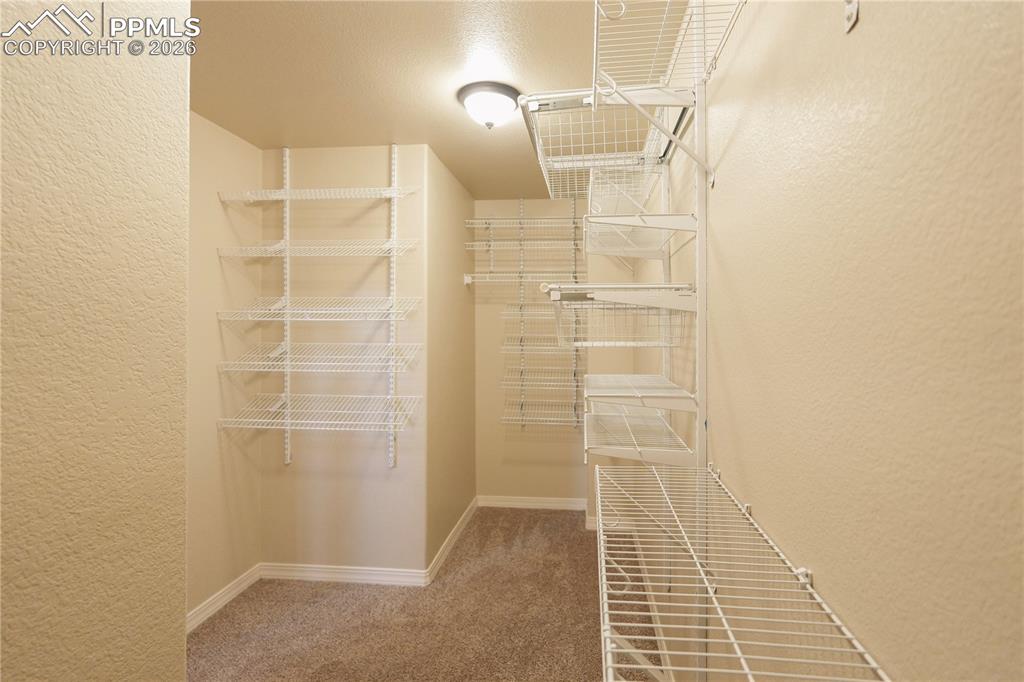 8704 Meadow Tree Trail Colorado Springs CO 80927