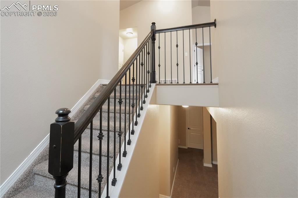 8704 Meadow Tree Trail Colorado Springs CO 80927