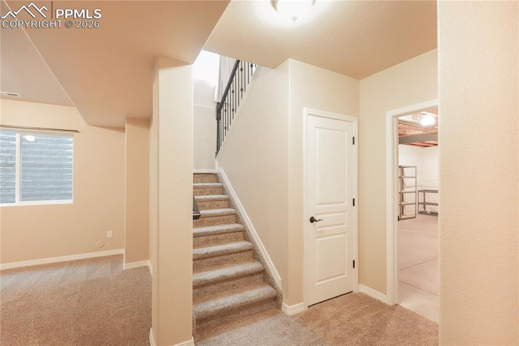 8704 Meadow Tree Trail Colorado Springs CO 80927