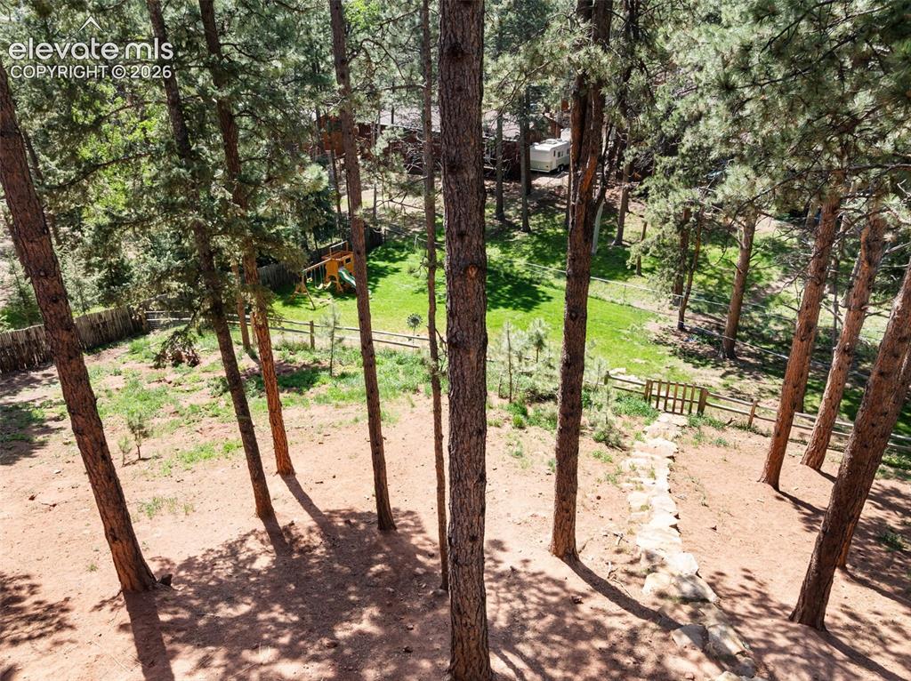 1231 W Midland Avenue Woodland Park CO 80863