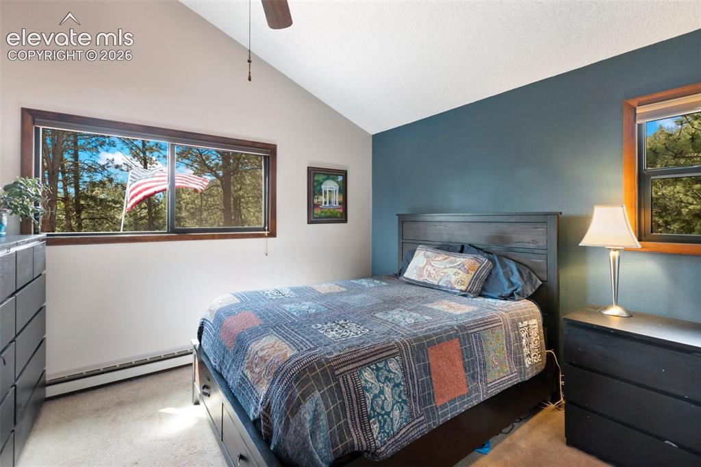1231 W Midland Avenue Woodland Park CO 80863