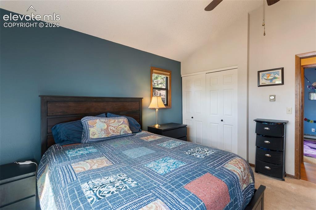 1231 W Midland Avenue Woodland Park CO 80863