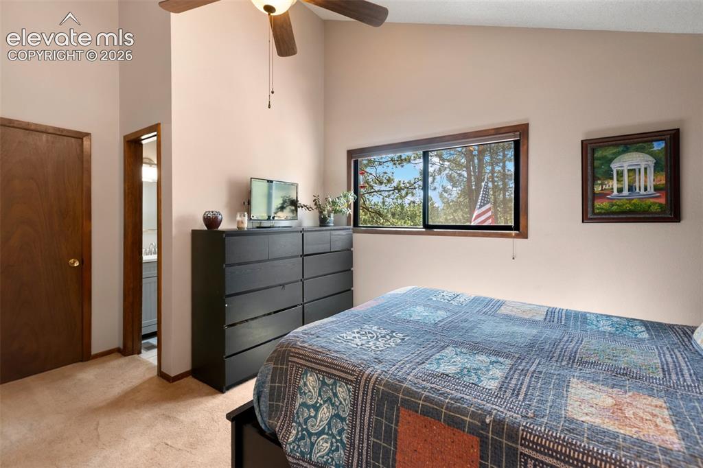 1231 W Midland Avenue Woodland Park CO 80863