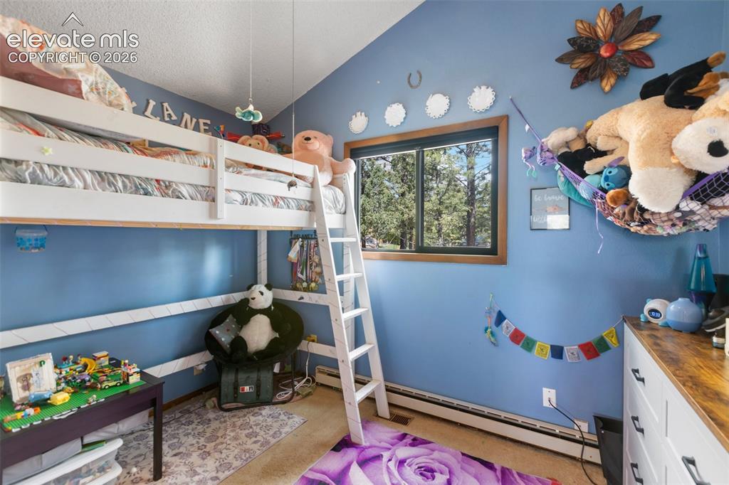 1231 W Midland Avenue Woodland Park CO 80863