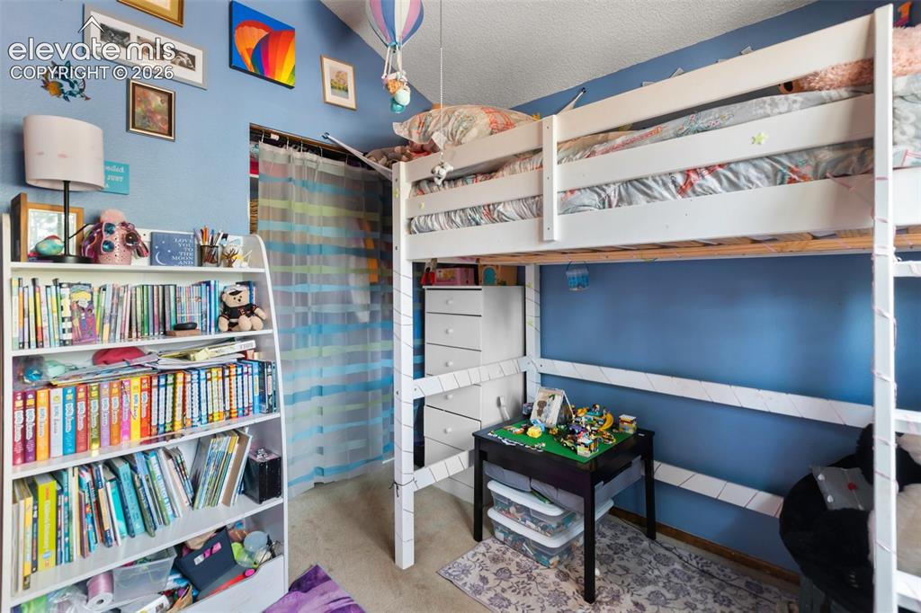 1231 W Midland Avenue Woodland Park CO 80863
