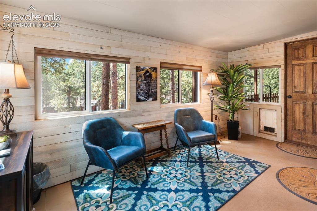 1231 W Midland Avenue Woodland Park CO 80863