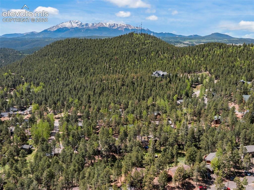 1231 W Midland Avenue Woodland Park CO 80863