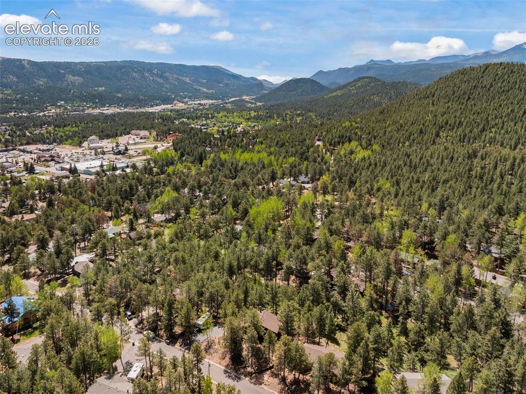 1231 W Midland Avenue Woodland Park CO 80863