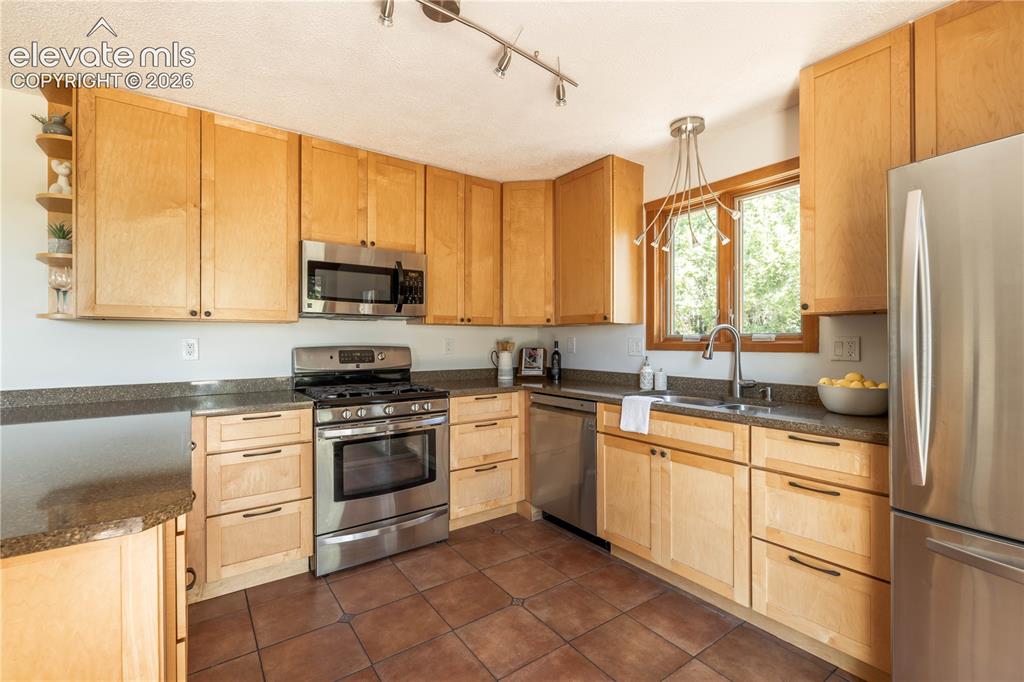 208 Elm Court Castle Rock CO 80104