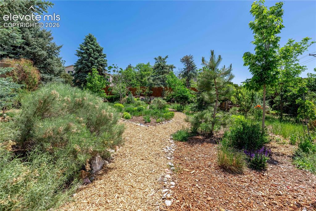 208 Elm Court Castle Rock CO 80104