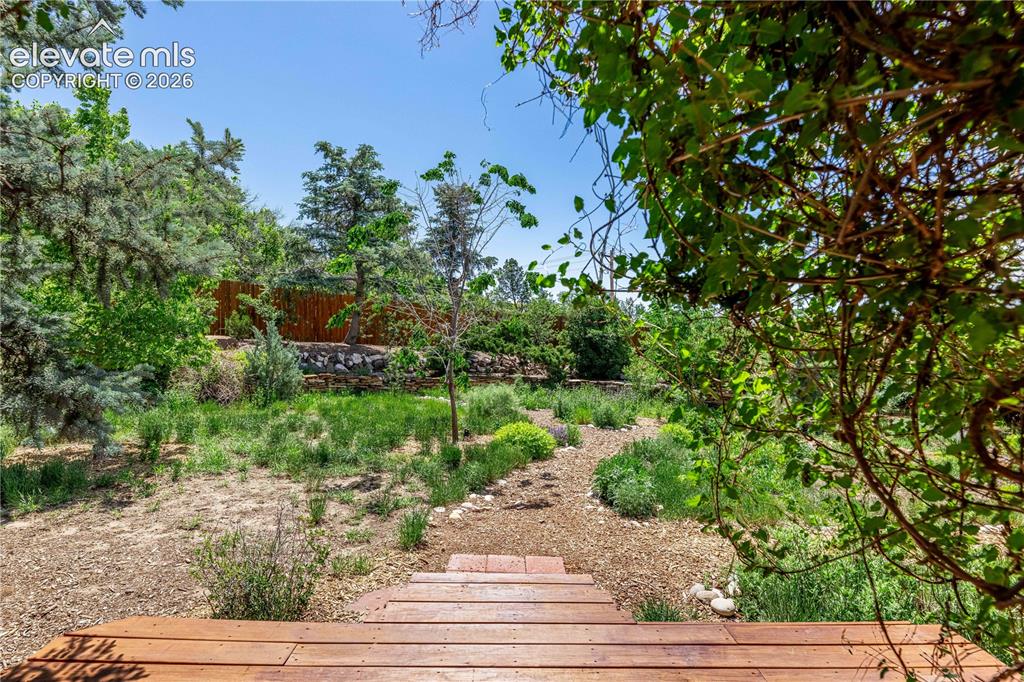 208 Elm Court Castle Rock CO 80104