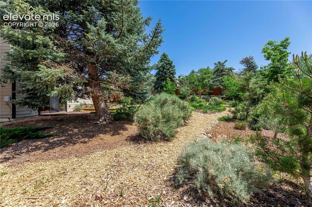 208 Elm Court Castle Rock CO 80104