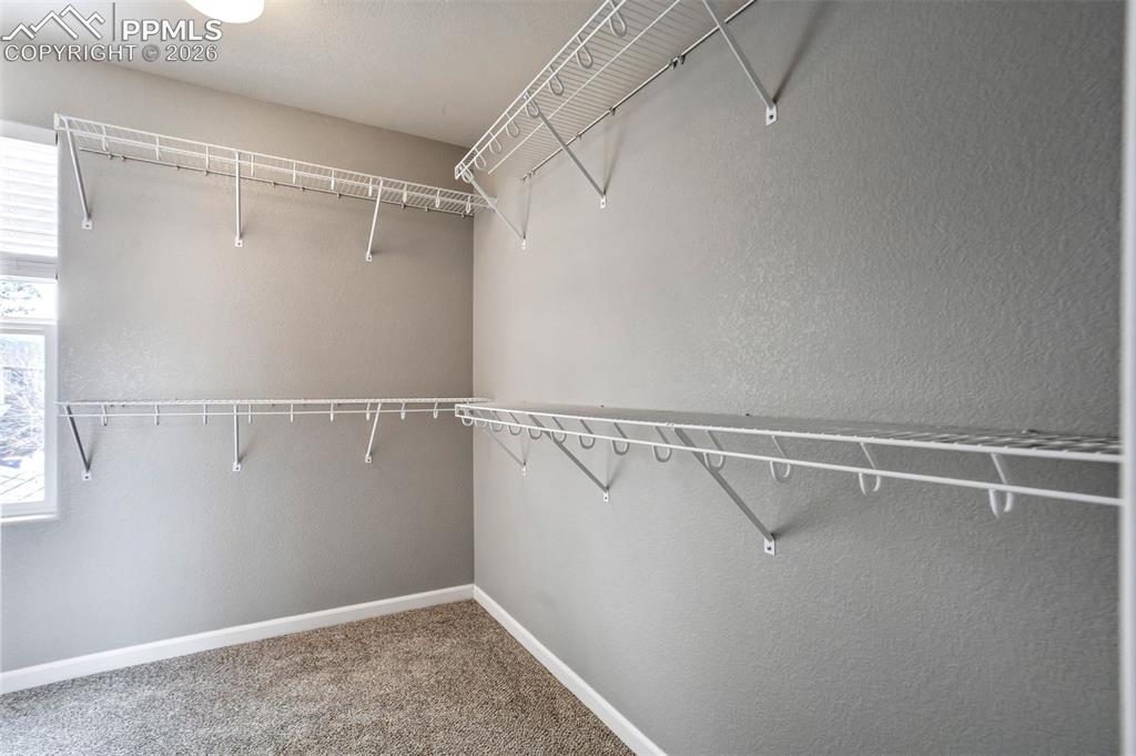 2087 Capital Drive Colorado Springs CO 80951