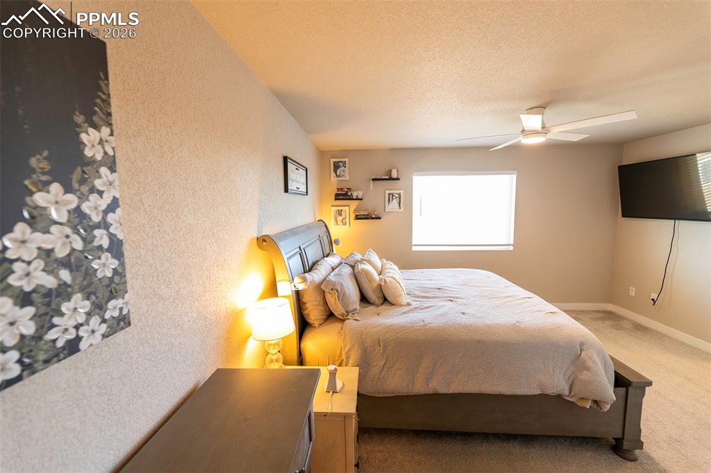 10552 Horton Drive Colorado Springs CO 80925