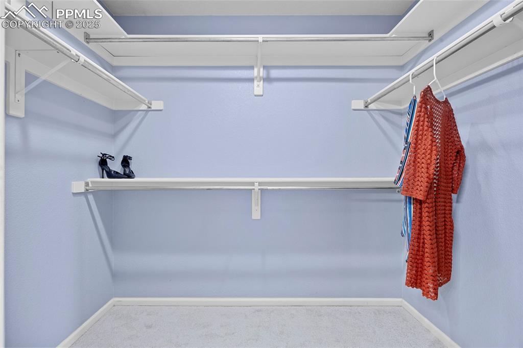 5045 Stonecrop Circle Castle Rock CO 80109