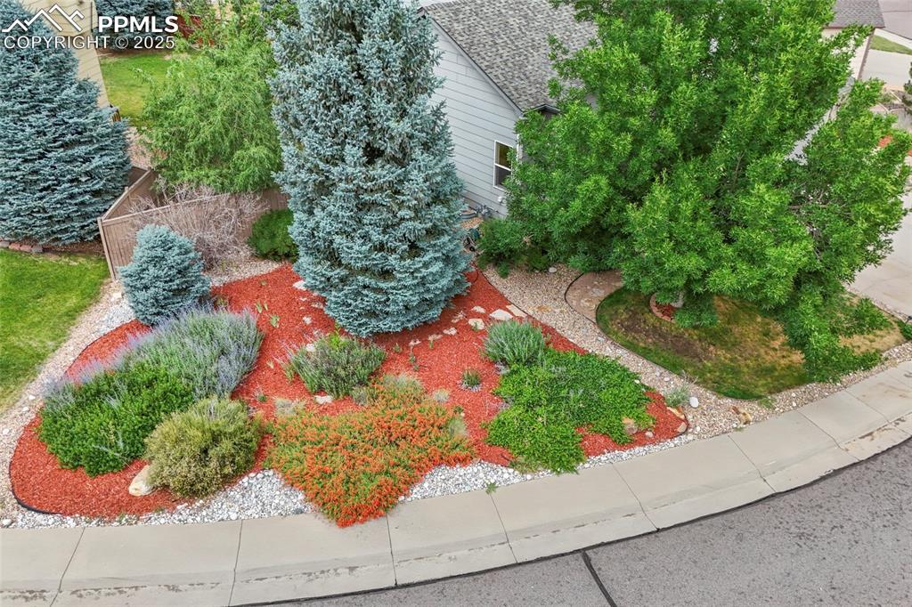 5045 Stonecrop Circle Castle Rock CO 80109