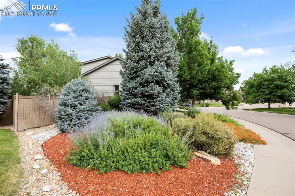 5045 Stonecrop Circle Castle Rock CO 80109