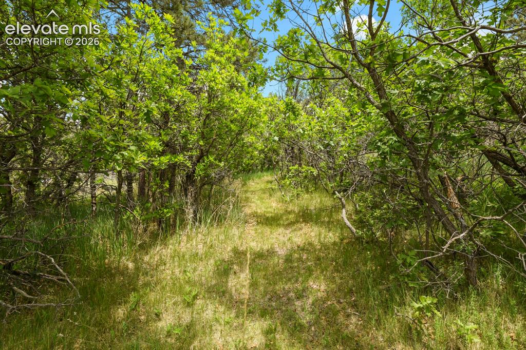 19220 Wakonda Way Monument CO 80132
